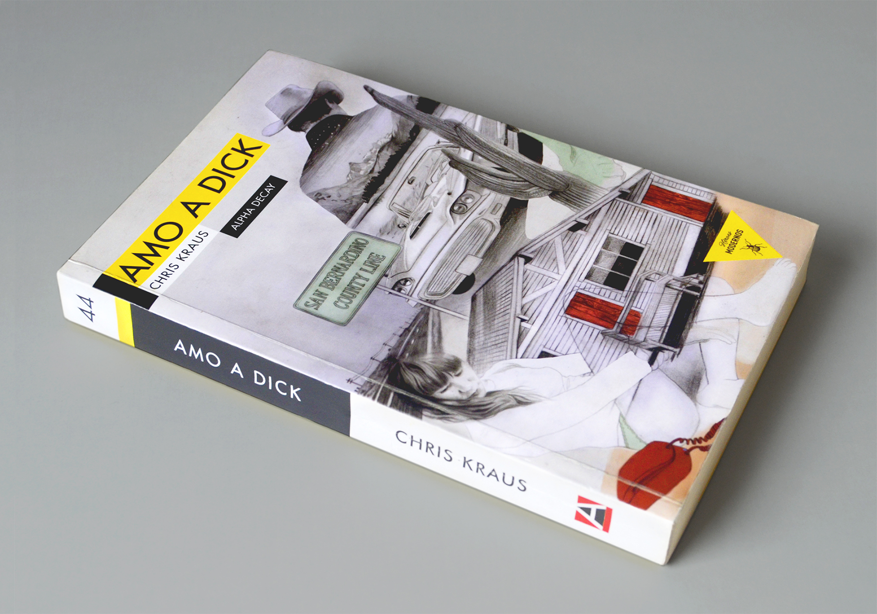 Amo a Dick. Chris Kraus.